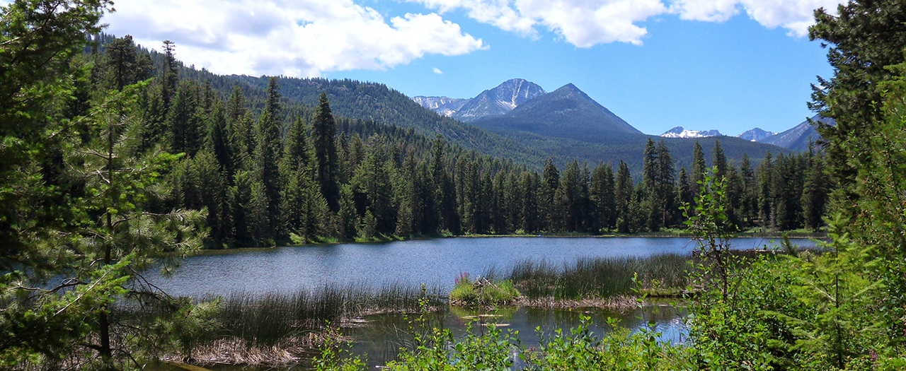 methow-valley-properties-in-methow-twisp-mazama-carlton-wa-spring-header